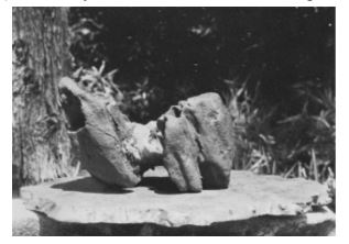 Đá hang động (Dokutsu-ishi)