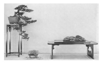 Đá núi xa trưng bày cùng bonsai tùng Ezo và chậu dương xỉ. Cách sắp xếp ba vật thể tạo thành một tam giác bất đối xứng cân bằng, rất hài hòa